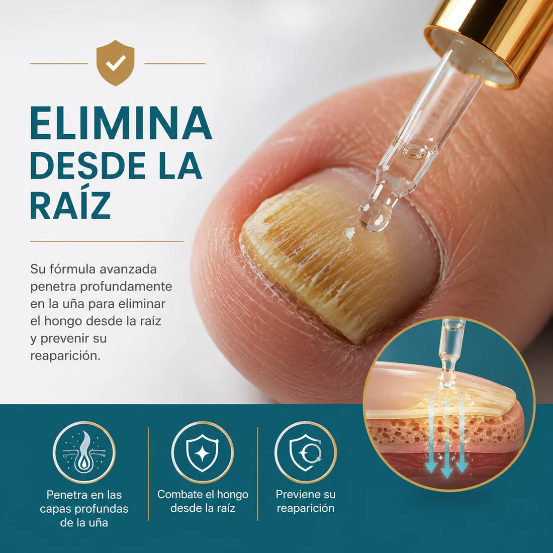 Finger Solution